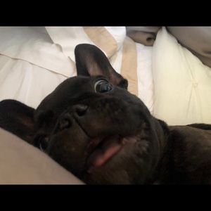 Meet your Posher, Grove